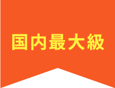 国内最大級